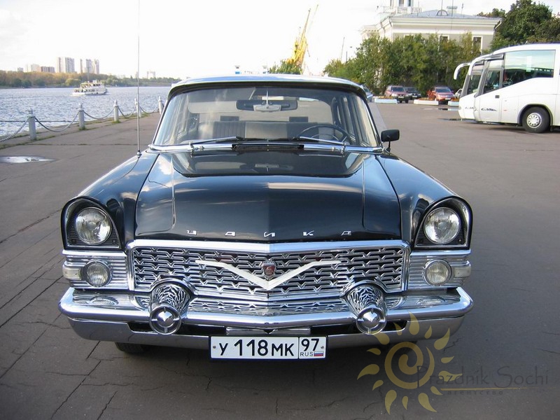 Чайка черная 